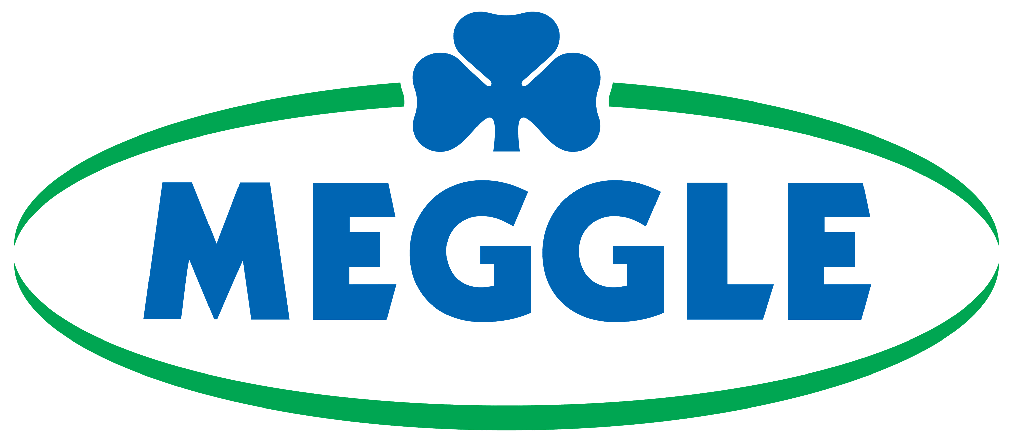 MEGGLE-Logo transparent